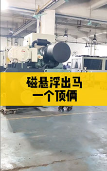 磁懸浮出馬，一個(gè)頂倆！